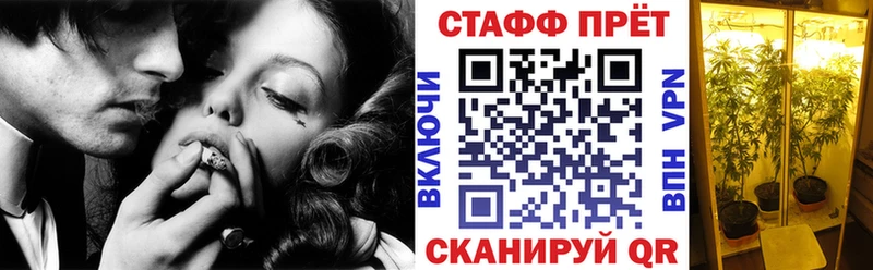  COCAIN Бавлы