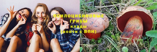 spice Елабуга