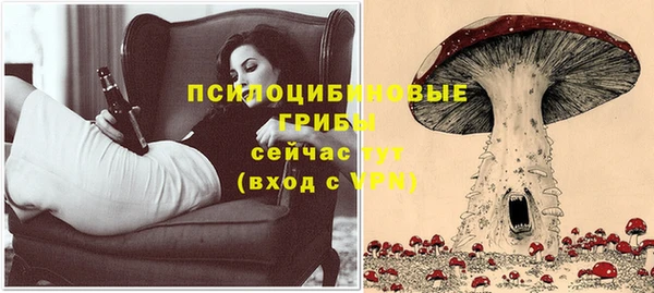 твердый Козловка