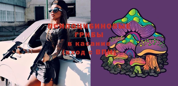 прущий лед Аркадак